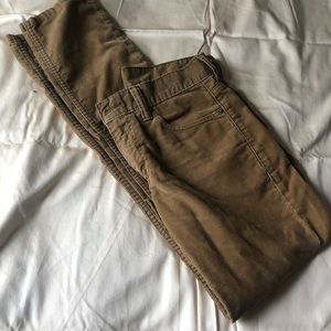Levi corduroy 511 pants
